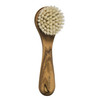 Skin Care Complexion Brush