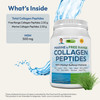 ANDREW LESSMAN Marine, Free Range Collagen Peptides Powder and MSM 60 Servings - Supports Radiant Smooth Soft Skin, Comfortable Joints. Super Soluble