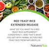 NaturesPlus Herbal Actives Red Yeast Rice, Extended Release - 120 Mini-Tabs - Non-GMO, Vegetarian, Gluten Free - 60 Servings