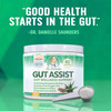 Leaky Gut Support Powder | L-Glutamine Gut Lining Formula | Gut Assist by Dr. Danielle