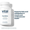 Vital Nutrients Carnitine 500mg - L-Carnitine Supplement for Heart Health Support - Vegan Energy Support Supplement - Gluten, Dairy, Soy Free - Non-G