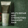 Aveda Damage Remedy Restructuring Conditioner for Damaged Hair | Repairs and Strengthens Damaged Hair | Detangles | with Quinoa Protein, 6.7 Fl Oz
