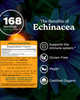 Herb Pharm Certified Organic Echinacea Root Liquid Extract for Immune System Support, Organic Cane Alcohol, 4 Ounce