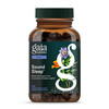 Gaia Herbs Sound Sleep - Sleep Support Supplement - Herbal, Plant-Powered Support for Calm & Relaxation* - Valerian Root, Passionflower & More - 120