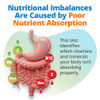 5Strands Nutrition Test, 112 Vitamins, Minerals, Amino Acids Tested, Identify Nutrient Absorption Issues, Holistic at Home Imbalance Testing, Results