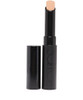 Surreal Skin Concealer - 4
