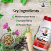 Christopher's Original Formulas Kidney Formula - Cleanse Detox & Repair Formula - Herbal Blend Support - Pack of 3