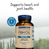 Wiley's Finest Wild Alaskan Fish Oil Peak EPA - Triple Strength Peak EPA & DHA Supplement - 1000mg Fish Oil - Omega-3s for Joint Health Support - 120