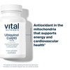 Vital Nutrients Ubiquinol CoQ10 100mg - Activated Form of Coenzyme Q10 - Potent Antioxidant to Support Cardiovascular and Brain Health* - Gluten and