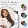 Privé Damage Fix Hair Shampoo for Women & Men - Sulfate-Free Repair Shampoo for Damaged Hair - Strengthening & Moisturizing Formula for Dry, Dull & O