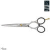 Jaguar Hairdressing Shears Pre Style Ergo 6.0 Inch Professional Stainless Steel Hair Cutting & Trimming Scissors for Salon Stylists and Barbers, Sati