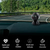 Car Compass Ball, Dash Mount Adjustable Compass Ball with Bottom Stick, Navigation Hiking Direction Pointing Guide Ball for Marine Boat Truck Caravan