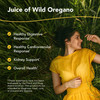 NORTH AMERICAN HERB & SPICE Oreganol P73 Juice - 12 fl oz, Pack of 5 - Wild Oregano Oil - Heart & Digestive Health - Kidney, Pancreas & Liver Support