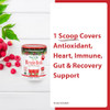 MacroLife Naturals Miracle Reds Superfood Powder 19 Blended Fruit & Berry Polyphenols Enzymes Probiotics & Antioxidants Supplement - Raw Non-GMO & Ve