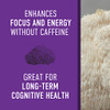 Steep Into It Organic Lions Mane Mushroom Supplement - Lions Mane Extract Powder for Mental Clarity, Focus and Cognitive Function (45g, 30 Servings)