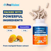 ProVision Lutein & Zeaxanthin Eye Supplements Plant-Based Eye Vitamins with Zeaxanthin  Vision Support Formula  30 Capsules