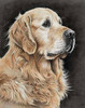 MaiYiYi Golden Retriever Dog Diamond Painting, 5D Full Round Drill Cute Dog Diamond Painting by Numbers, Puppy Paint with Gems for Adults Beginners W