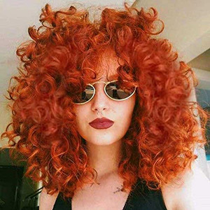 AIDUSA Short Loose Curly Wig for Black Women Short Curly Wigs for Women Curl Afro Wigs for Black Women Synthetic Hair Wig Natural for Women Soft Ging