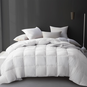 Hotel Grand Luxury White Goose Feather Down Fiber Comforter Twin Size, 100% Cotton All Season Duvet Insert Twin, Medium Warmth Bedding Comforter with