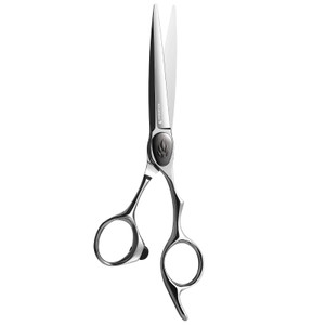 AOLANDUO Professional Hair Cutting Scissors VG10 Steel - Super Sharp, Ergonomic, Includes Case - 1 Count, 6 in