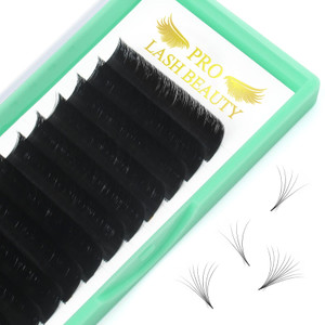 Easy Fan Volume Lashes D-0.03-9-16 Volume Lash Extensions Flowering Lash Extensions .03 .05 .07 .10 Rapid Blooming Eyelash Extensions C D curl Rapid