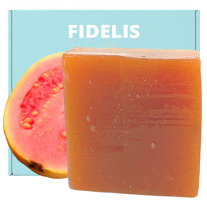 Fidelis Yoni Soap Bar (2 Pack 3.5 Oz) pH Balanced V Clean Natural Feminine Wash (Guava)