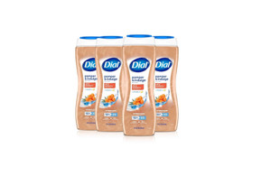 Dial Body Wash, Pamper & Indulge, Silk & Seaberry, 21 fl oz, Pack of 4
