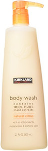 Kirkland Signature Natural Body Wash 27 Fl Oz (Pack of 1)