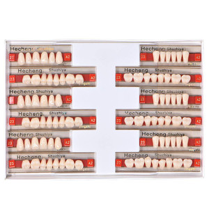 Angzhili 84 Pcs Dental Complete Acrylic Resin Denture False Teeth 3 Sets Synthetic Polymer Resin Denture Teeth 23 Shade A2 Upper + Lower Dental Mater