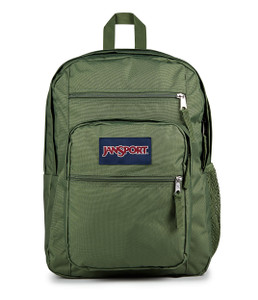 JanSport Laptop Backpack - Computer Bag with 2 Compartments, Ergonomic Shoulder Straps, 15 Laptop Sleeve, Haul Handle - Cargo Green