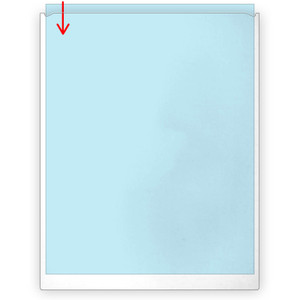 StoreSMART - 8.5" x 11" Peel & Stick Letter Size Pocket - Crystal-Clear, Archival, Polypropylene Plastic - 10-Pack - TL10308-10