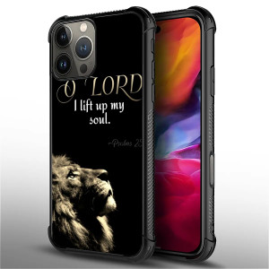 Toulas Compatible with iPhone 16 Pro Case,Christian Soul God Verses Ultimate Protection: Back+Soft Silicone Acrylic TPU Design for Shockproof Fall Pr