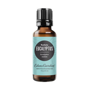 Edens Garden Eucalyptus- Radiata Essential Oil- 100% Pure Premium Grade, Undiluted, Natural, Therapeutic, Aromatherapy, The Best for Diffuser, Laundr