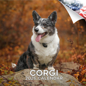 Corgi Calendar 2026 by MegaCalendars  Monthly Dog Breed Wall Calendar, Made in USA
