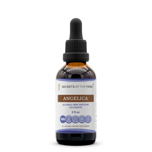 Secrets of the Tribe Angelica Tincture Alcohol-Free Liquid Extract, Angelica archangelica Dried Root (2 FL OZ)