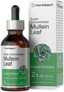 Horbäach Mullein Leaf Extract Drops | 2 fl oz | Alcohol Free Liquid Tincture | Vegetarian, Non-GMO & Gluten Free Herbal Supplement