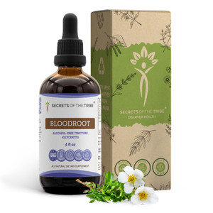 Secrets of the Tribe Bloodroot Alcohol-Free Tincture Extract, Responsibly farmed Bloodroot (Sanguinaria Canadensis) Dried Root (4 fl oz)