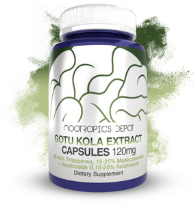 Nootropics Depot Gotu Kola Extract Capsules | 120mg | 90 Count | Acid Resistant | Centella asiatica | 35-45% Triterpenes | Supports Healthy Stress Le