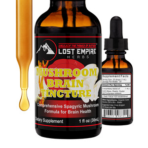 Lost Empire Herbs Mushroom Brain Spagyric Tincture | Dual Extract of Lion's Mane, Cordyceps, Reishi, Oyster Mushrooms for Cognition (1 fl oz)