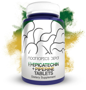Nootropics Depot Epicatechin Tablets | 200mg (?)?Epicatechin + 6mg Piperine for Bioavailability | Green Tea Extract | Promotes Muscle Mass, Cardiovas