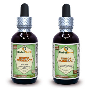 Herbal Terra LLC Senega Snakeroot (Polygala Senega) Glycerite, Dried Roots Alcohol-Free Liquid Extract 2 oz