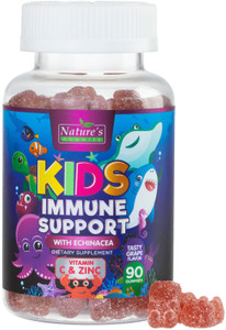 Kids Immune Support Supplement Gummies - Daily Childrens Vitamins C, Zinc & Echinacea - Gummy for Kids Immune Support, Ages 4 and Up, Natural Berry F