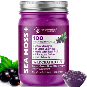 WELLNESS LABSRX Irish Sea Moss Gel Raw - Wildcrafted Superfood Seamoss Gel - Elderberry Flavor, Vitamin and Mineral-Rich from Pristine Caribbean Wate