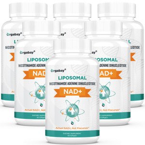 Orgabay Liposomal NAD+ Supplement 500 mg, High Absorption, Boost NAD+ with TMG 250 mg, Actual NAD Plus More Efficient Than Nicotinamide Riboside, Sup