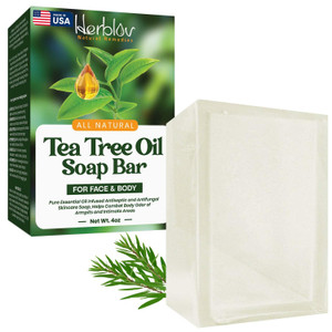 Herblov Tea Tree Oil Soap Bar for Face & Body, 4oz All Natural Remedy Skin Cleanser  Pure Essential Oil Infused Skincare Cleansing Soap for Dirt &