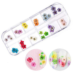 12 Colors Real Dried Flowers Nail Art Accessories,Five-Petals Flower 3D Nail Stickers for Nail Art DIY Decoration