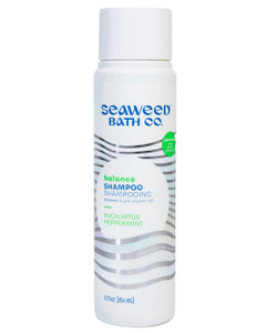 Seaweed Bath Co. Balance Shampoo - Eucalyptus Peppermint - Hydrating Daily Shampoo with Vitamin E, Argan Oil, Coconut Oil - For Normal to Oily Hair -
