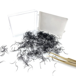 300 Fans Premade Fans Eyelashes Loose Lashes Pre Made 3D Fan/C Curl/Thickness 0.07/0.1 mm Eyelash Extension Volume Lash Fans (0.07, 12)