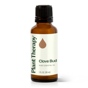 Plant Therapy Clove Bud Essential Oil 30 mL (1 oz), 100% Pure, Undiluted, Natural Aromatherapy, Immune Support, Sore Muscle & Joint Relief