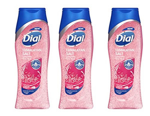 Dial Body Wash Himalayan Salt Enriching, 16 Fl Oz (Pack of 3)